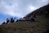 Clicca qui per vedere l'immagine in dettaglio